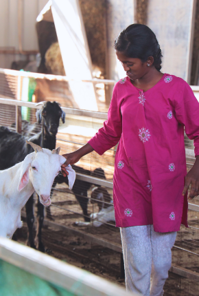 Girl with Goat